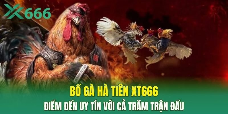 bồ gà hà tiên tx666